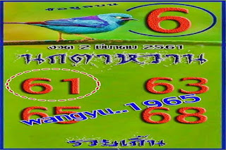 Thailand Lottery Best Single Digits