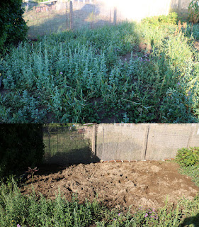 Digging out the veg patch again