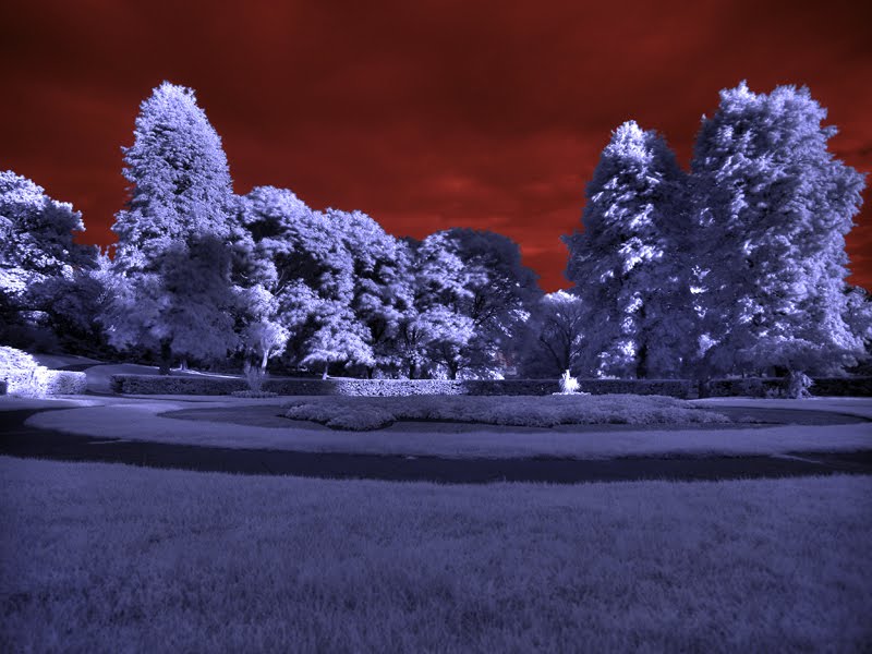 Damn Fresh Pics: Excellent Examples Of Infrared Photography