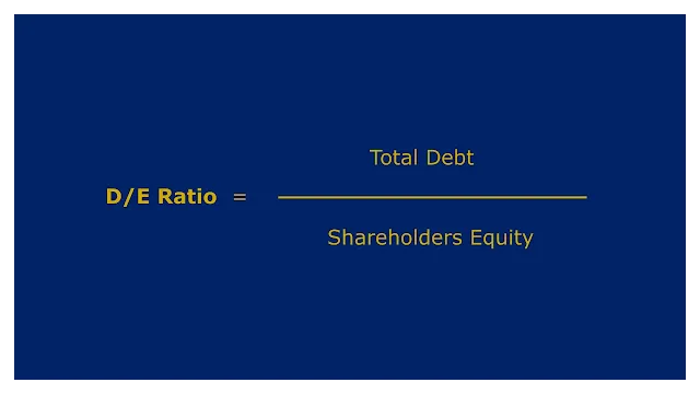 D/E = Total Debt / Shareholders' Equity