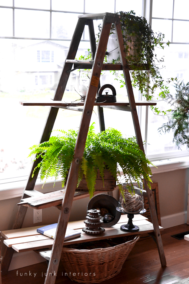 A winter ladder plant stand, with memories attached 