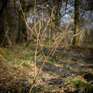 Easter Light #1 © Graham Dew 2013