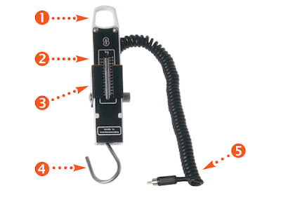 Spring-type charging scale