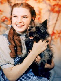wizard-of-oz