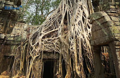 quần thể đền Angkor