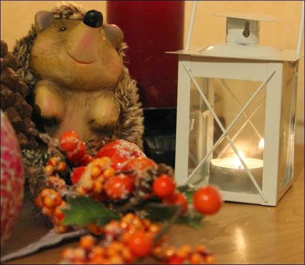 Herbstimpressionen 16