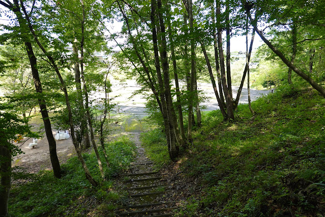 鳥取県西伯郡南部町鶴田　とっとり花回廊