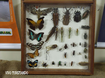 Manaus | A Casa da Ciência, um Museu de Ciências Naturais