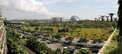 Singapore Gardens By The Bay Botanical Park Tourism