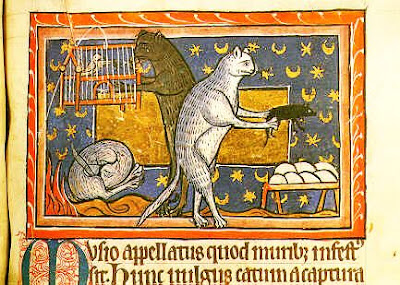 Image result for medieval manuscript memes