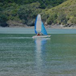 View album