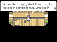 Pokemon Split Screenshot 02