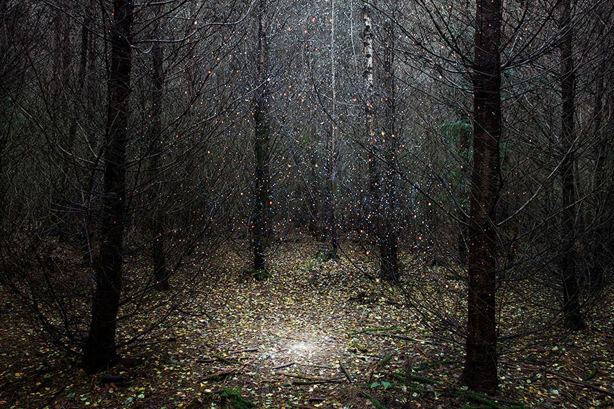 Artist Has Spent 7 Years Turning UK Forests Into Works Of Art