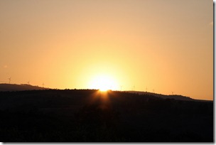 IMG_6016