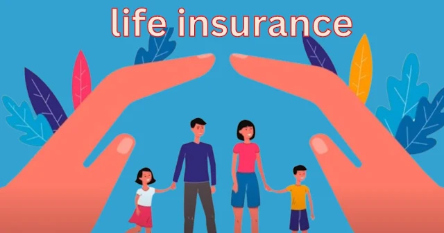 What is life insurance? Advantages and Disadvantages of Life Insurance