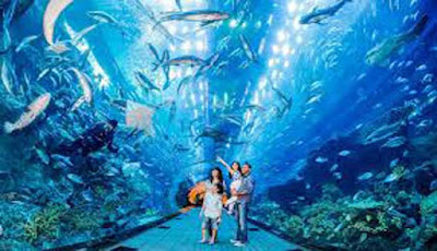 Dubai Aquarium & Underwater Zoo