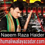 https://www.humaliwalyazadar.com/2018/09/naeem-raza-haider-nohay-2019.html