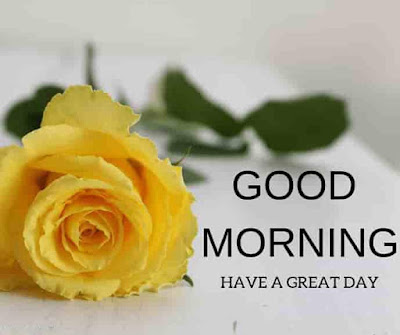 60+ Good morning wishes images for Fb Dpz whatsapp Status Free