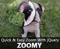 jquery zoom image