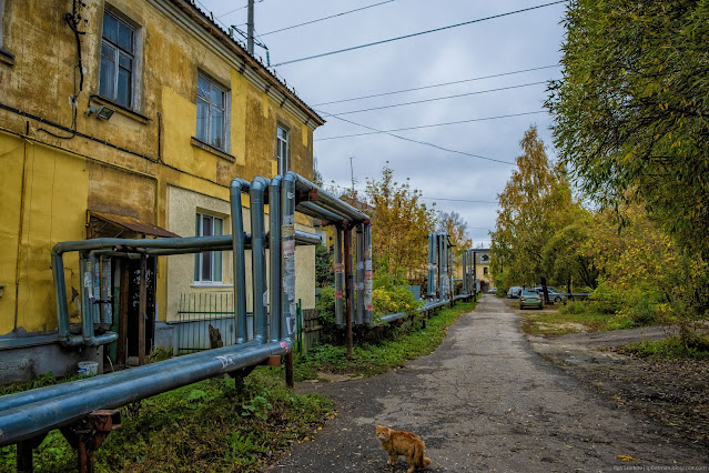 Рыжий кот у старого пошарпанного дома