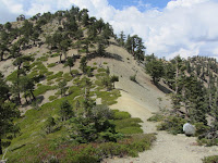 Approching the Telegraph/Thunder Saddle