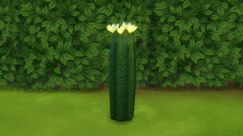 The Sims 4 Outdoor Plants