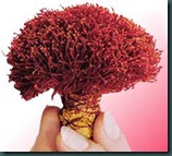 saffron