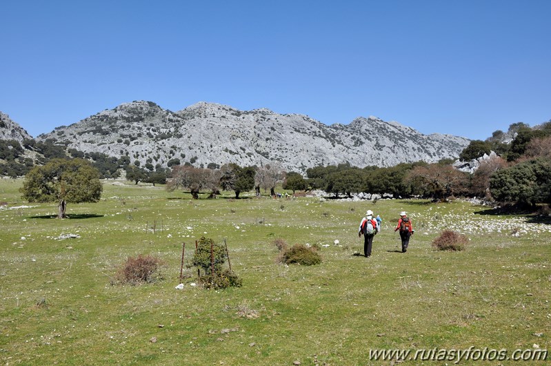 Cortes de la Frontera - Llanos de Libar - Benaojan