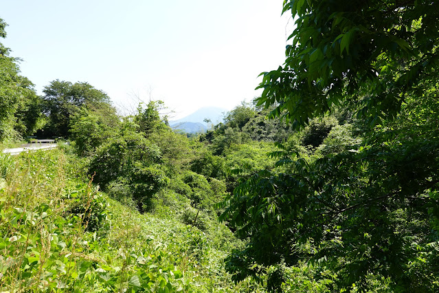 鳥取県西伯郡南部町焼杉 鎌倉山グリーンラインからの眺望