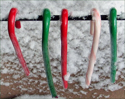 Haning candy canes