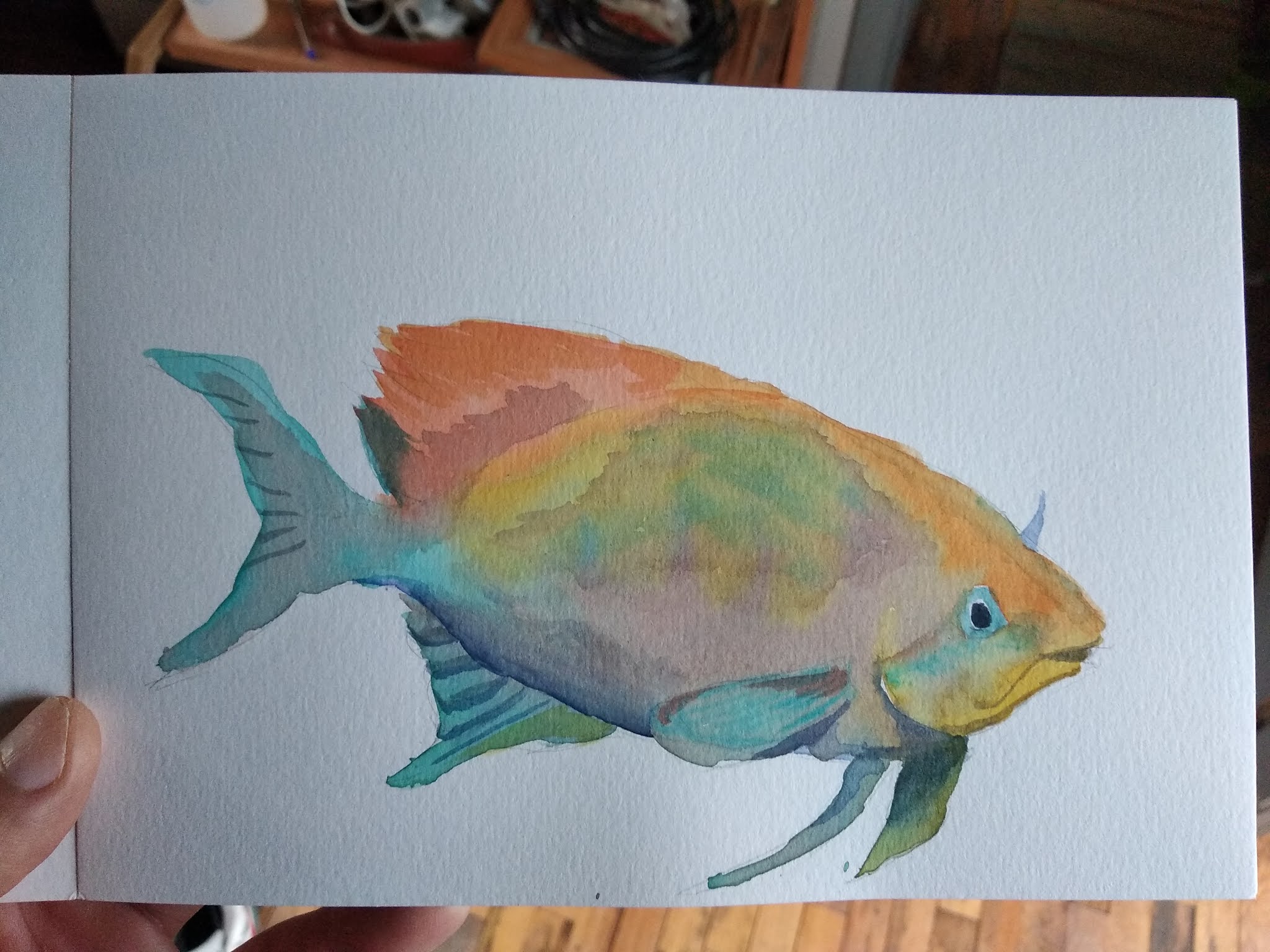 a colorful fish