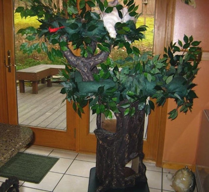 Original Cat Tree that looks like a real tree