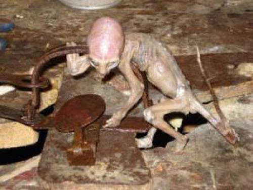 Ufo Spotted By Agriculture Minister In Madhya Pradesh