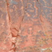 View album