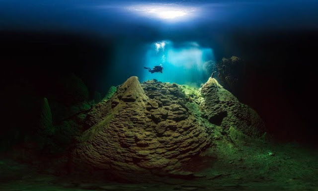 A imagem de um mergulhados no Abismo Anhumas está exposta no Museu Nacional de História Natural do Smithsonian, em Washington (Foto: Marcio Cabral)