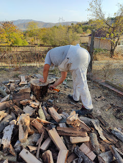 Halil cleans up the stump