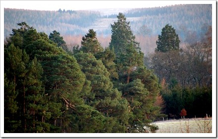 14 Jan 2 14-01-2012 16-35-49