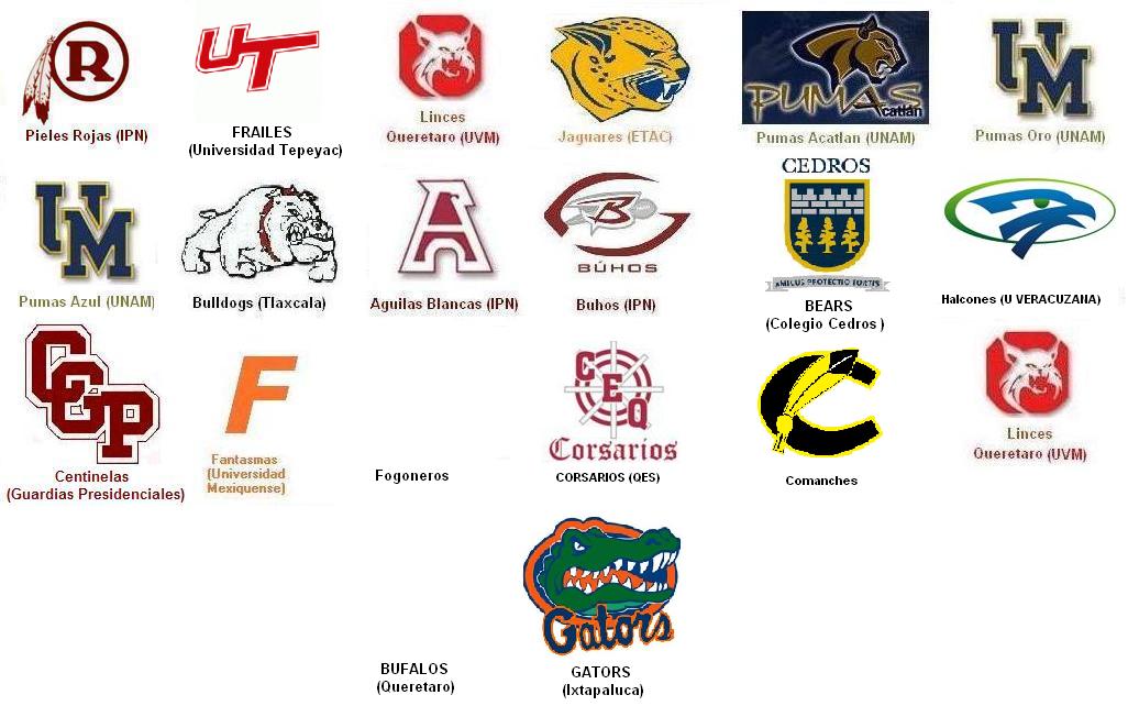 Blog de la Infantil de ONEFA