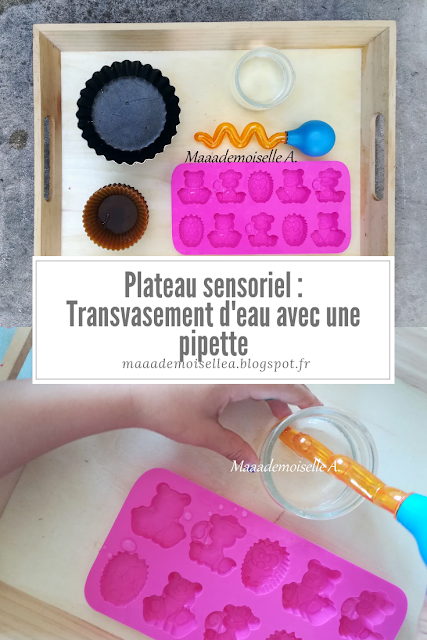 || Plateau sensoriel : Transvasement d'eau avec une pipette