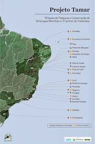 Centros de visitação do Projeto Tamar pelo Brasil