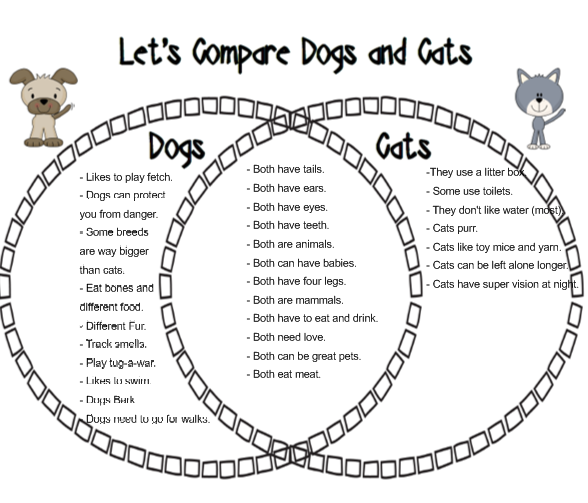 compare and contrast dogs and cats essay