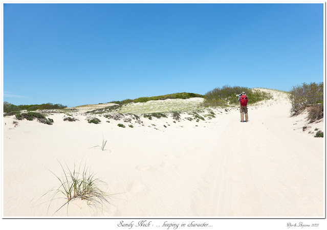 Sandy Neck: ... keeping in character...