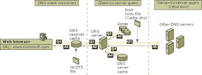 Di artikel kali ini saya akan menjelaskan mengenai fungsi layanan jaringan dan juga pengen Fungsi Layanan Jaringan Dan Pengenalan Dhcp, Dns, Ftp, Ntp, Mail, Web Mail, Proxy