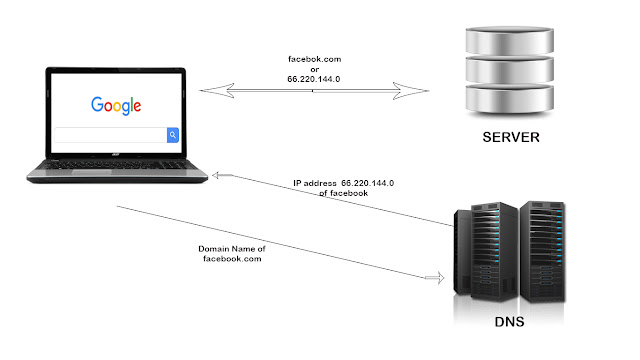 Domain Name System