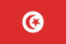 flag of Tunisia