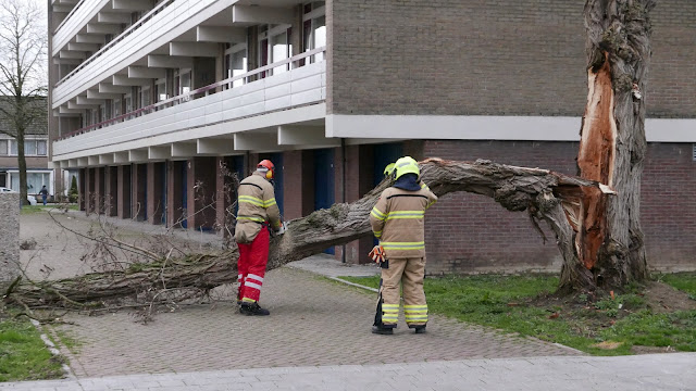 Storm, Zevenaar, 10 maart 2019