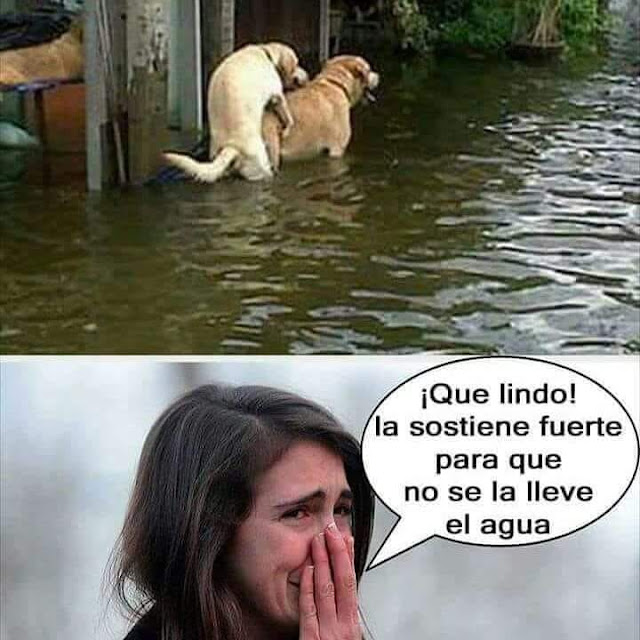 ¡Qué lindo! La sostiene fuerte para que no se la lleve el agua.