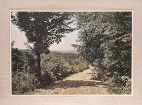 A color photograph of a dirt road framed by trees and greenery.