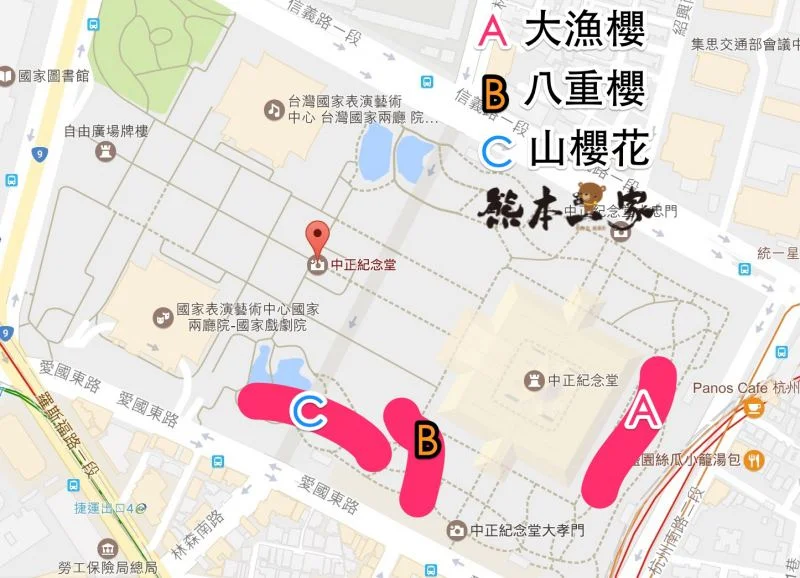 中正紀念堂櫻花花況3月28日拍攝｜中正紀念堂賞櫻地圖｜原生櫻花區-大漁櫻-山櫻花-重瓣緋寒櫻