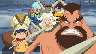 ワンピースアニメ ドレスローザ編 672話 小人族 Dwarves トンタッタ Tontatta | ONE PIECE Episode 672